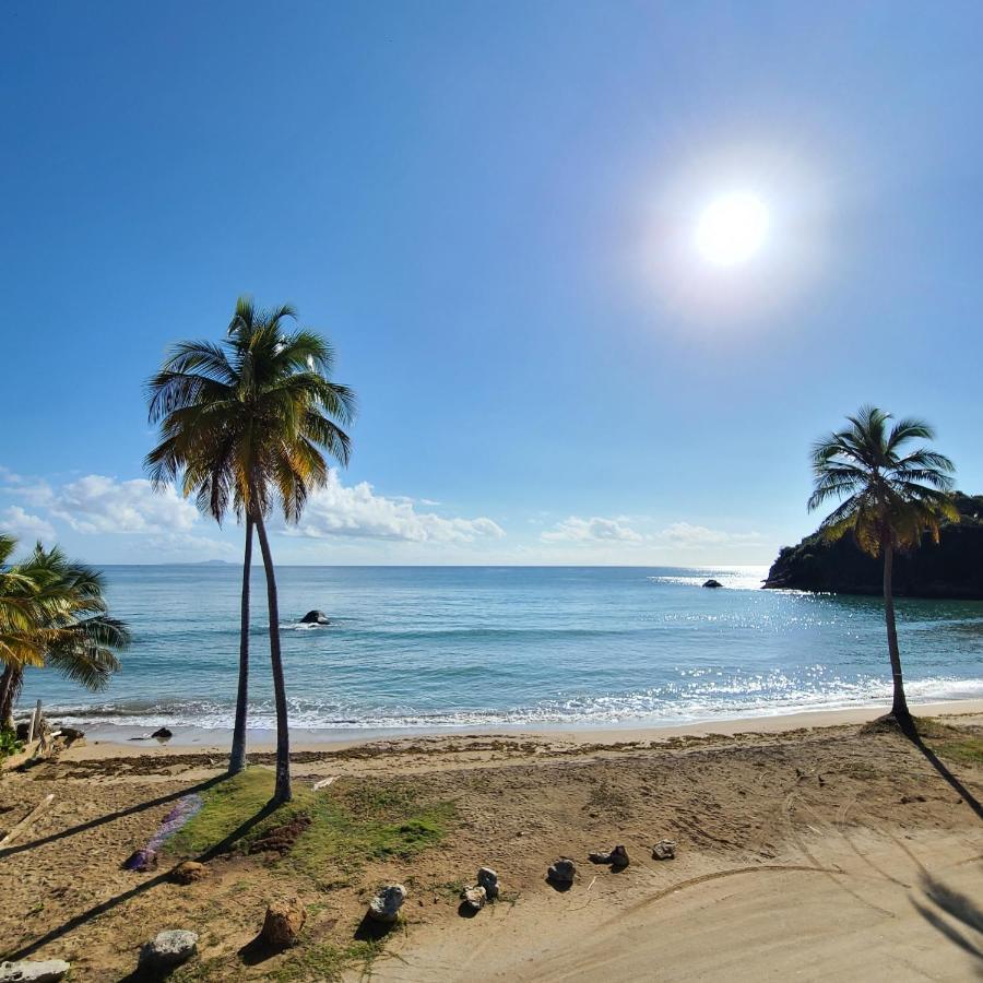 Parador Palmas de Lucia Yabucoa Exterior foto
